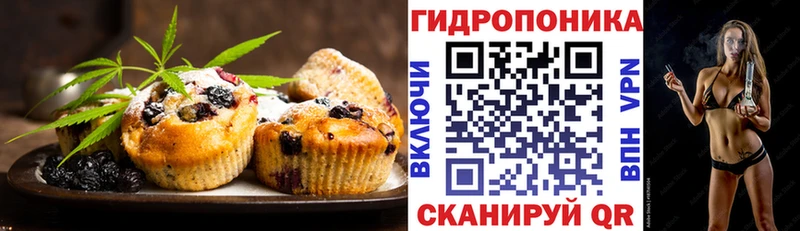 Cannafood конопля  Купить закладки  Сосновый Бор 