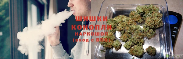 apvp Няндома