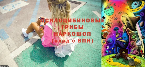 тгк Новодвинск