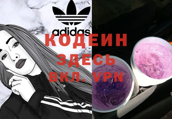 apvp Няндома