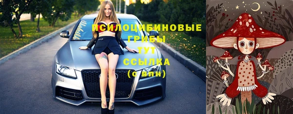 apvp Няндома