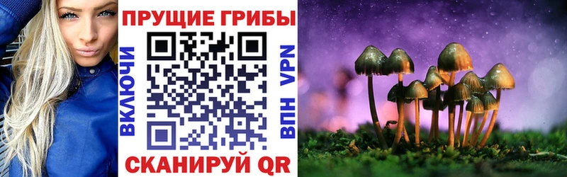 Псилоцибиновые грибы прущие грибы  Купить закладки  Сосновый Бор 